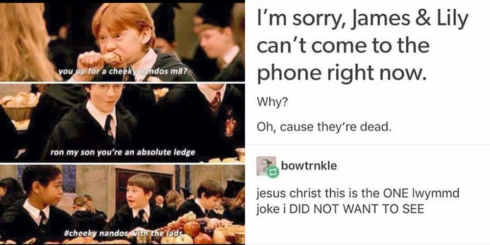 Harry Potter Memes Harry Potter Reactions