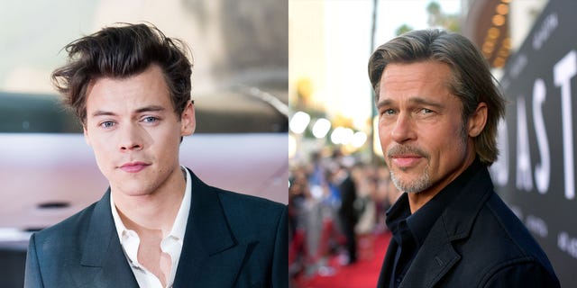 Are Harry Styles and Brad Pitt Starring in a Movie Together?