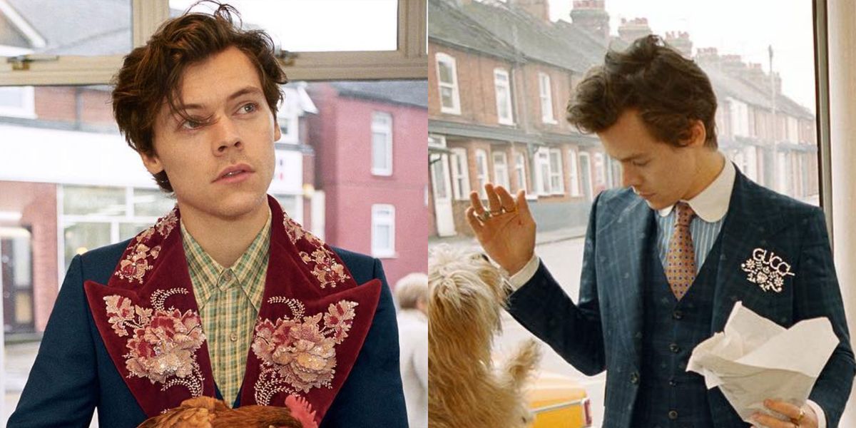 Harry Styles New Gucci Tailoring Campaign Pictures Styles Gucci Campaign