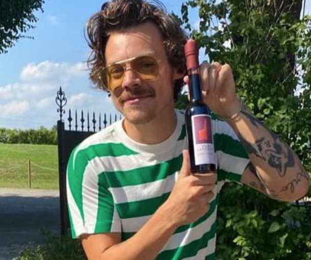 Harry Styles Debuted His Latest Hair Quarantine Facial Hair Look: a Mario Mustache