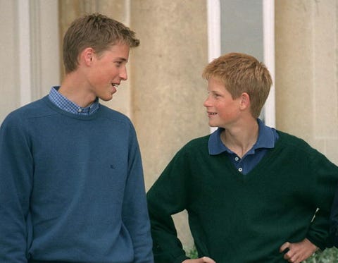 Prince Harry and Prince William's Best Brotherly Moments ...