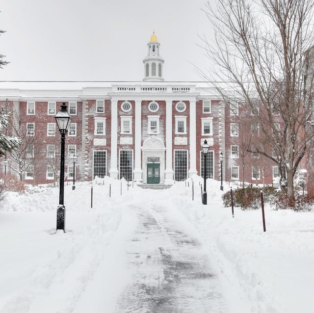 Harvard in Winter