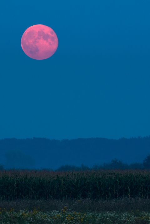 Harvest Moon Rising