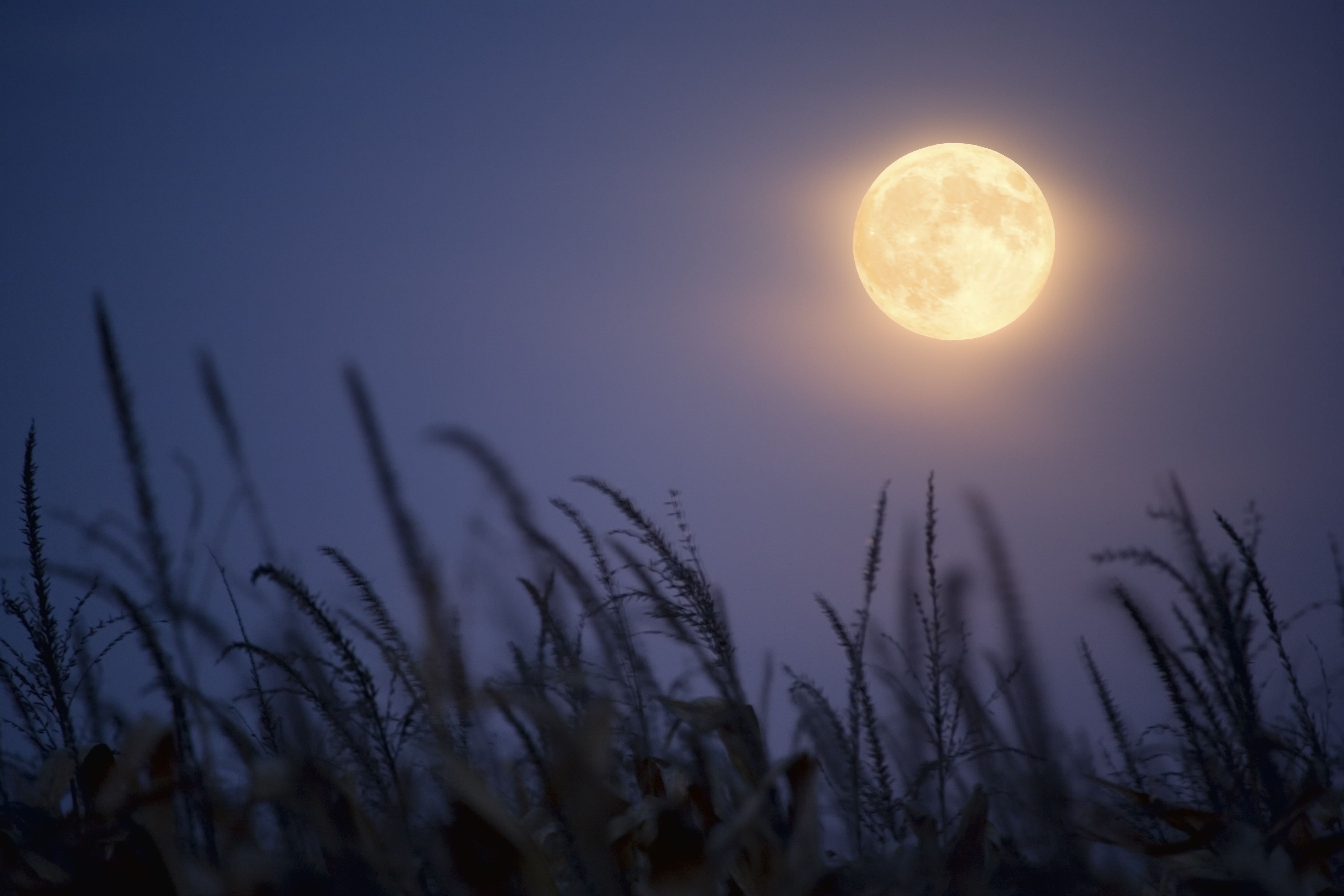 When and How to See October’s Full Harvest Moon in Fall 2020