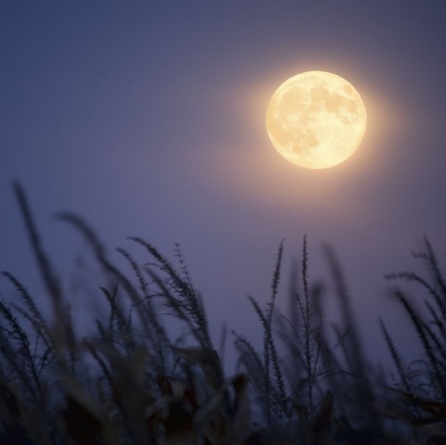 how to watch harvest moon october 2020