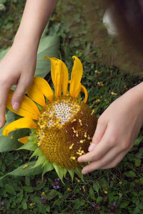 What Is Clean Beauty? How to Find Green, Natural, and Organic Makeup