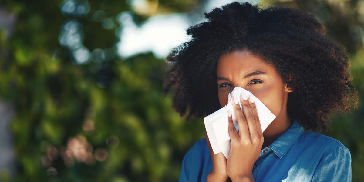 How to tell the difference between hay fever and a cold