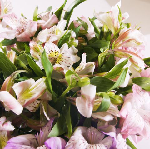 How To Make Trader Joe S Flowers Look Expensive Alstroemeria Bouquet Tutorial