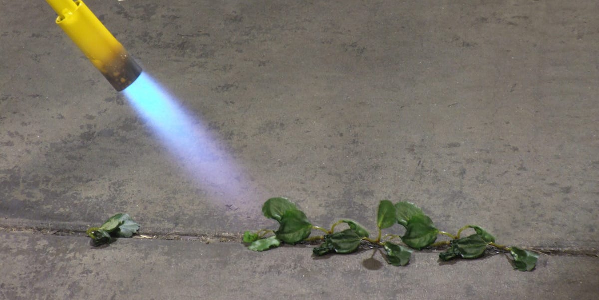 This Weed Torch Will Make You Actually Look Forward To Yardwork