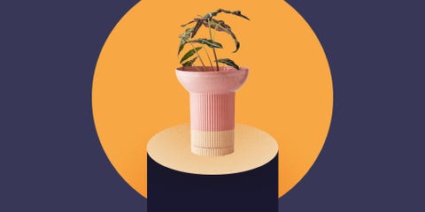 10 Best Garden Planters Cute Pots For Your Yard 10 Best Garden Planters Cute Pots For