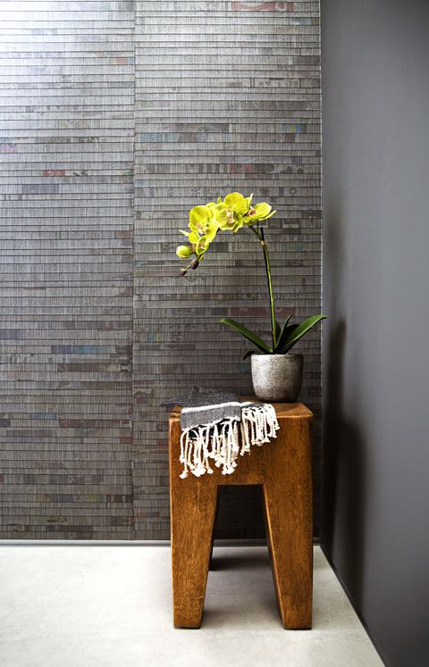 Flowerpot, Yellow, Wall, Houseplant, Plant, Wood, Table, Flower, Furniture, Room, 