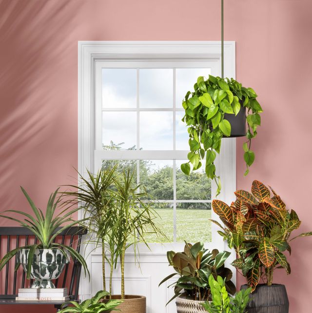 20 Best Indoor Planters Stylish Indoor Plant Pots
