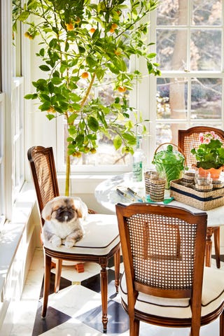 This Garden Room Was Once An Old Screened In Porch Indoor Gardening Decor Ideas Indoor Gardening Decor Ideas, Indoor Garden Table
