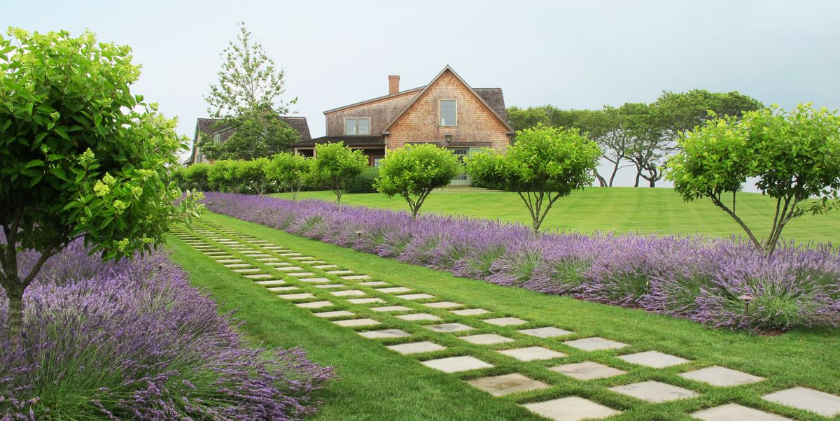 55 Beautiful Landscaping Ideas - Best Backyard Landscape ...