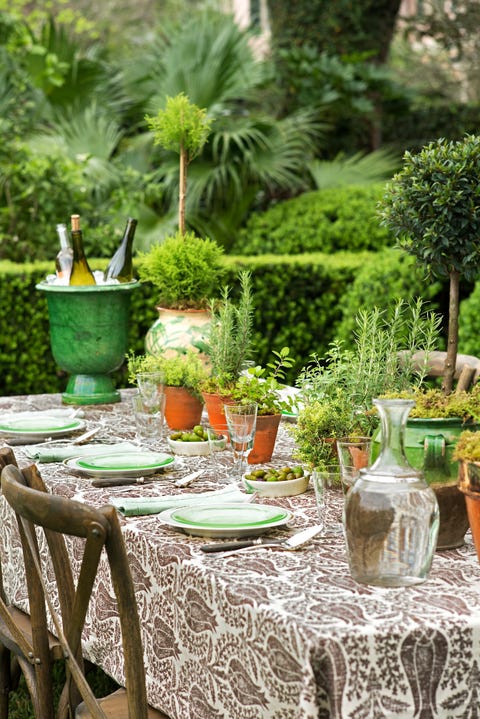 Green, Tablecloth, Table, Furniture, Garden, Botany, Backyard, Linens, Tree, Textile, 