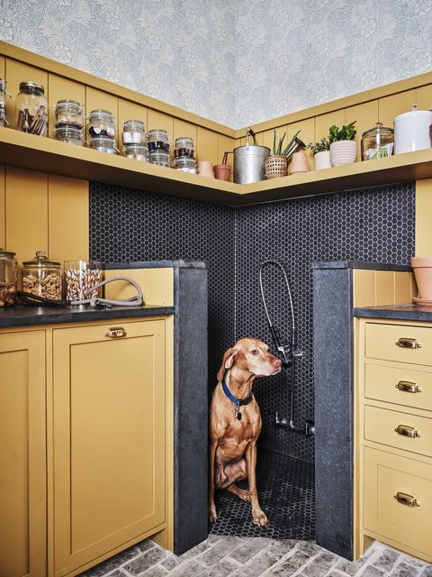 pet shower, yellow cabinets, black tiles, yellow shelving units, dog
