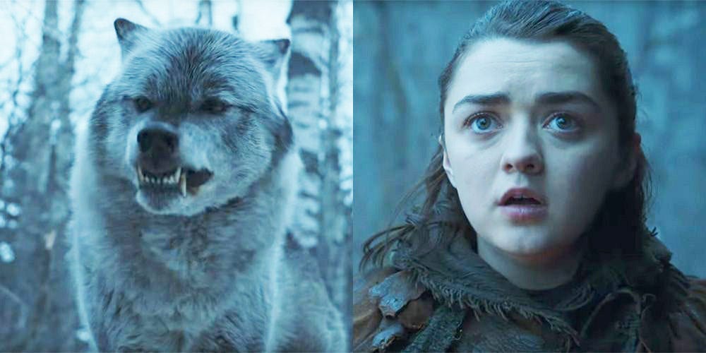 Arya Stark's Reunion With Her Direwolf, Explained - What Ayra Said to ...