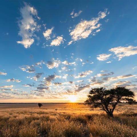 Africa, Botswana, Kgalagadi Transfrontier Park, Mabuasehube Game Reserve, Mabuasehube Pan at sunrise Africa, Botswana, Kgalagadi Transfrontier Park, Mabuasehube Game Reserve, Mabuasehube Pan at sunrise