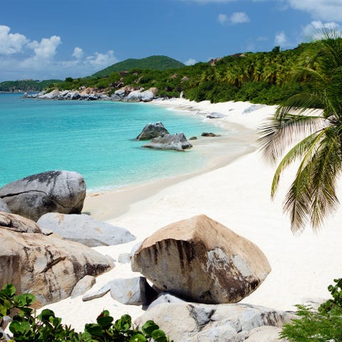 beach with boulders and palm trees in Virgin Gorda, BVI