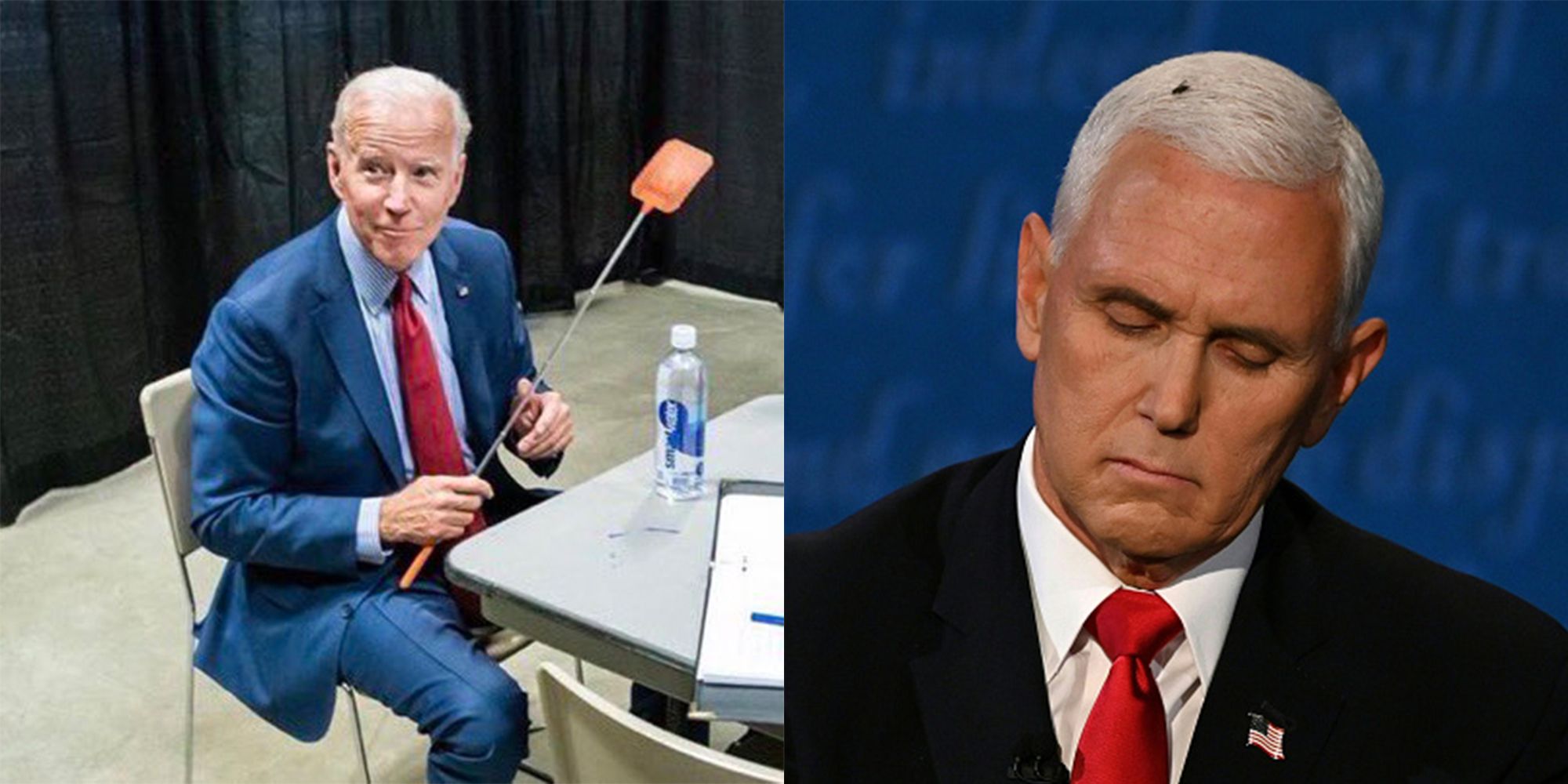 Biden 2020 Presidential Debate Biden Harris Pence Fly Swatter Truth Over Flies