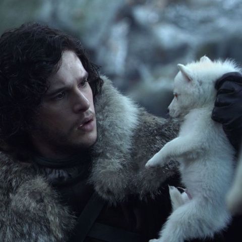 Ghost Is Coming Back In Game Of Thrones Season 8