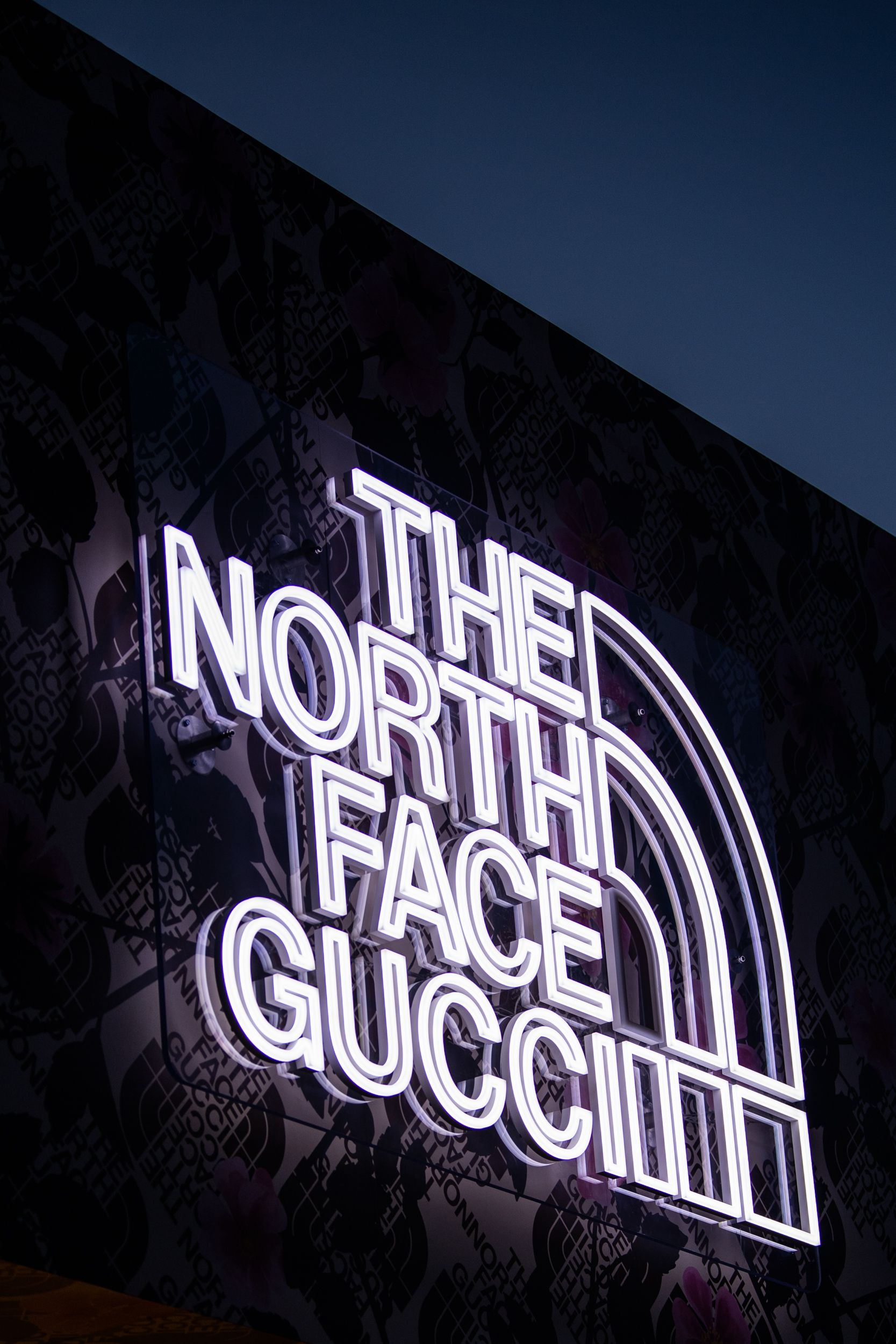 gucci north face new york