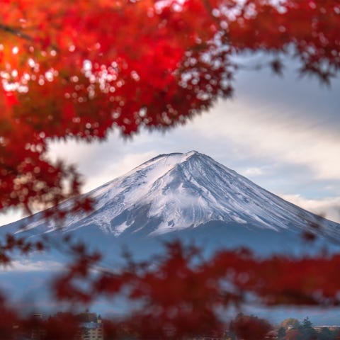 Mount Fuji in the autumn season , Yamanashi , Japan Mount Fuji in the autumn season , Yamanashi , Japan