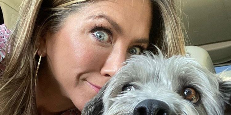 Jennifer Aniston Looked Chicer Than We Thought Possible While Walking Her Dog - HarpersBAZAAR.com