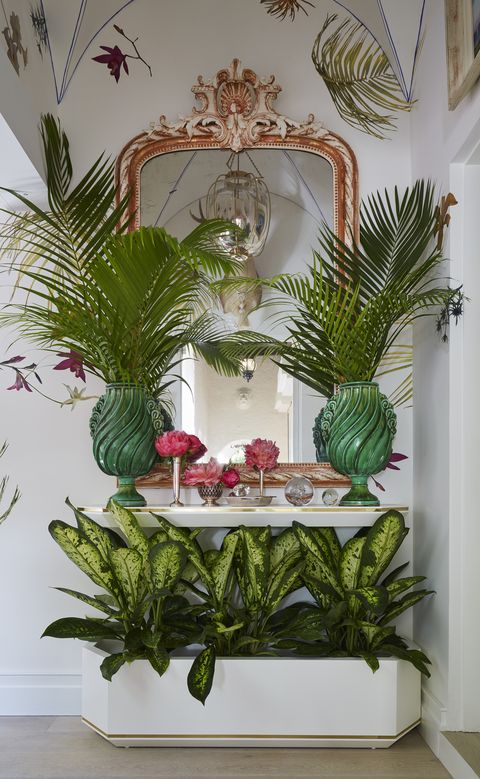 Green, Houseplant, Botany, Plant, Room, Vascular plant, Interior design, Tree, Fern, Flower, 