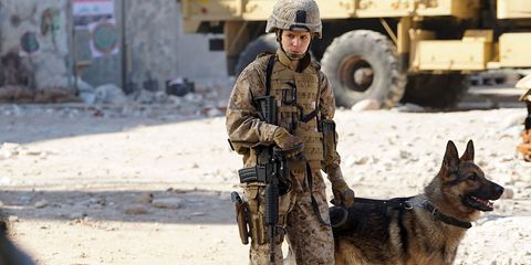 Military, Soldier, Army, Dog, Canidae, Police dog, Working dog, Troop, Carnivore, Marines, 