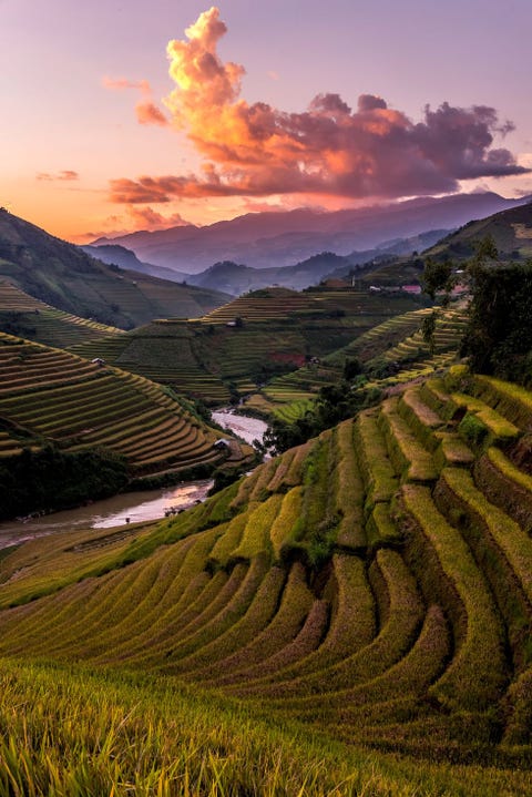 Terrace, Nature, Highland, Paddy field, Sky, Field, Landscape, Natural landscape, Plantation, Agriculture,