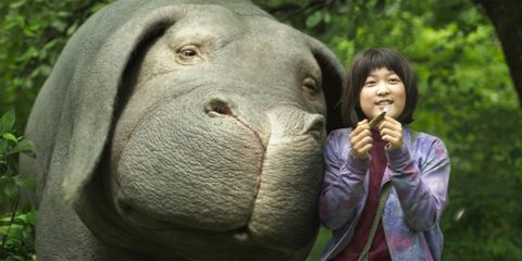 Elephant, Indian elephant, Elephants and Mammoths, Terrestrial animal, Nose, Snout, Working animal, Organism, Mouth, Wildlife, 