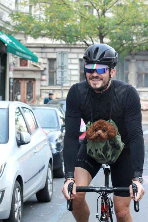 orlando bloom puppy orlando bloom bikes with adorable dog orlando bloom puppy orlando bloom puppy orlando bloom bikes with adorable dog orlando bloom puppy