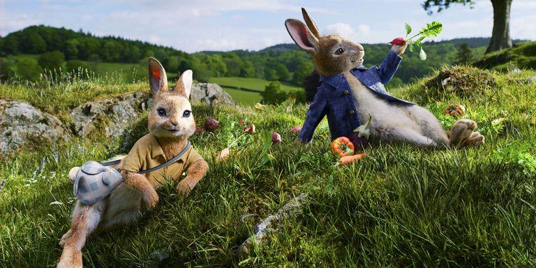Fashion Tale of Peter Rabbit - Margot Robbie On Peter Rabbit Role