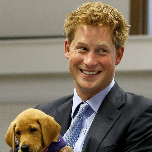 Prince Harry S Life In Photos Duke Of Sussex Through The Years