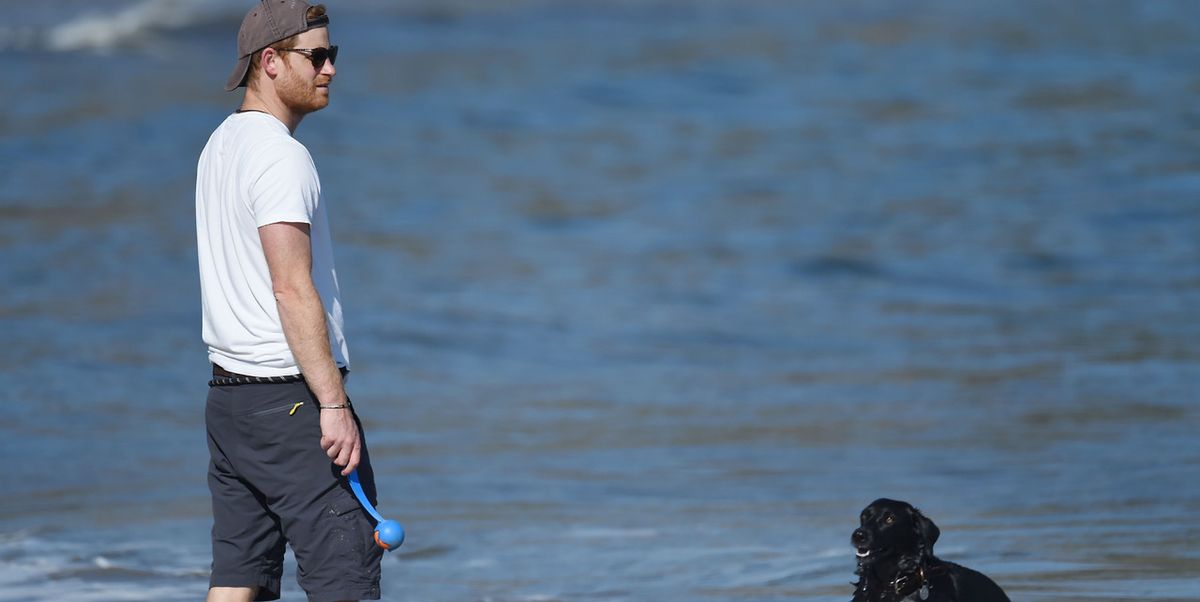 Prince Harry Plays with Pula Dog on Santa Bárbara Beach