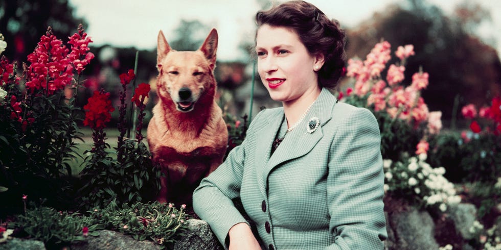 The Queen's Last Remaining Corgi Has Just Died