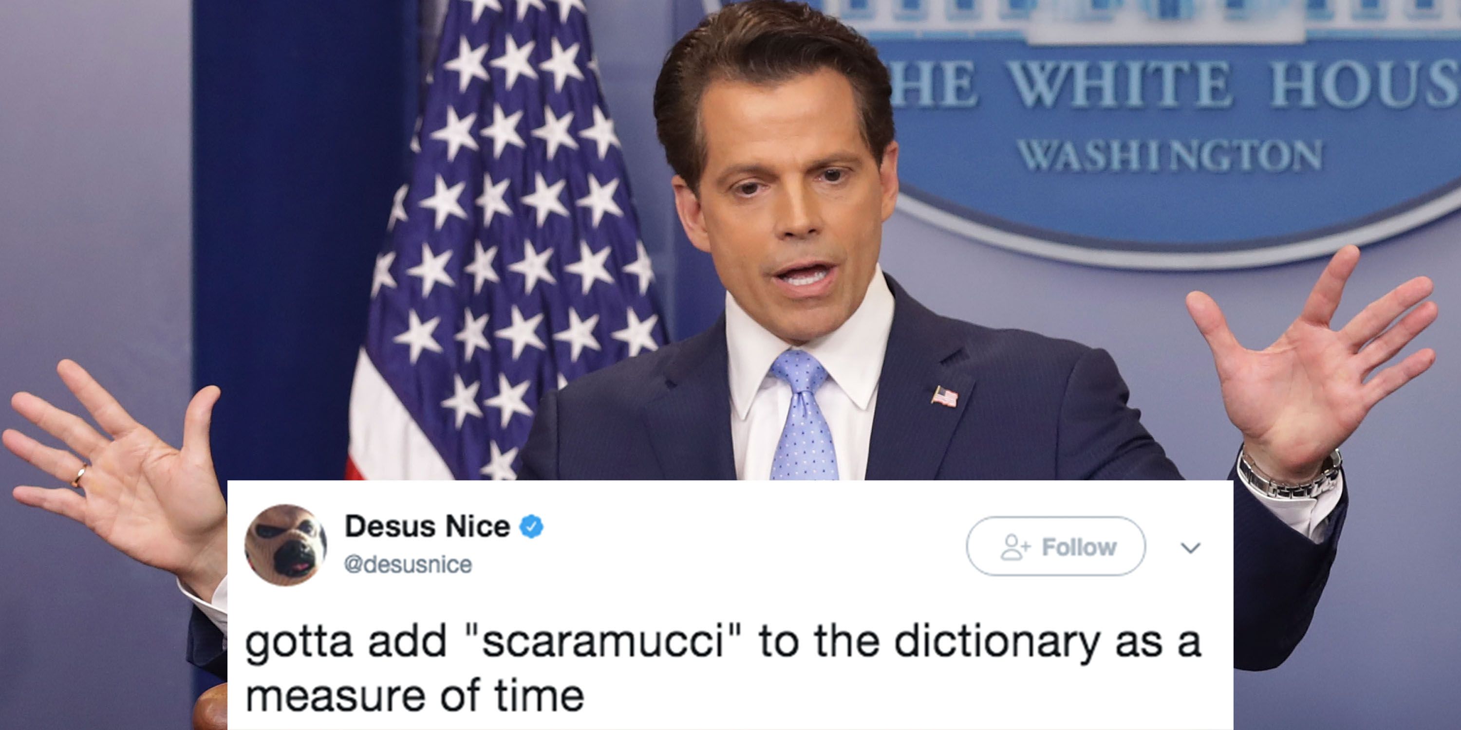 Anthony Scaramucci Fired Twitter Reactions - Tweets And Memes On ...