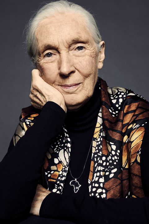 british primatologist, ethologist, anthropologist, and un messenger of peace jane goodall of the film 'jane' poses for a portrait at the 55th new york film festival on october 5, 2017  photo by erik tannercontour by getty images