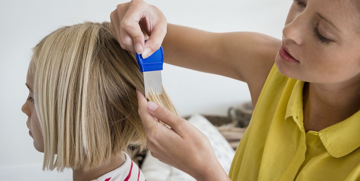 Try these effective head lice treatments