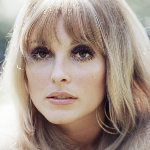 headshot-of-sharon-tate-us-actress-circa-1965-news-photo-139630079-1564436591.jpg