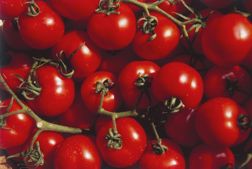 トマトを毎日食べるべき、期待できる健康効果｜「リコピン」の効能を解説