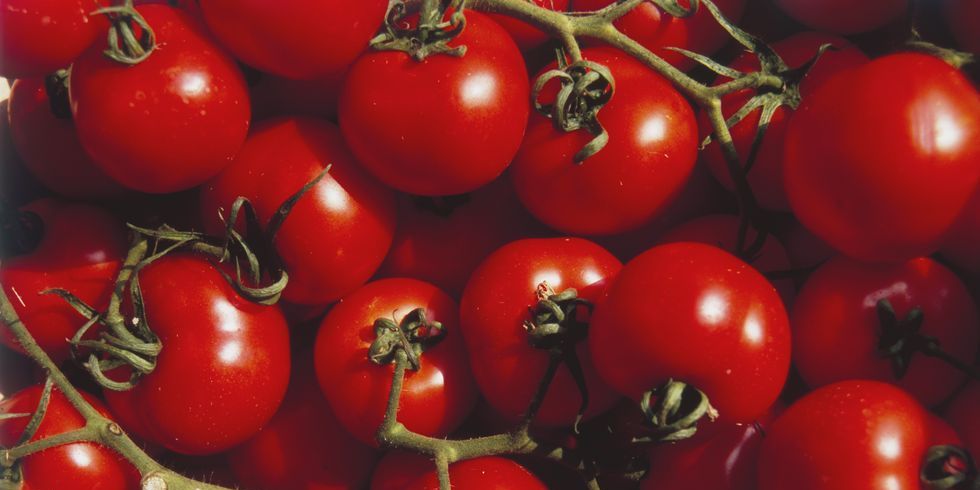 トマトを毎日食べるべき 期待できる健康効果 リコピン の効能を解説