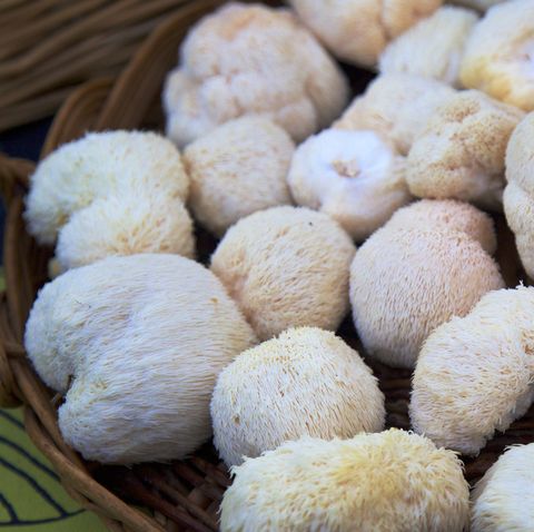 a basket of lions mane mushrooms at the farmers market