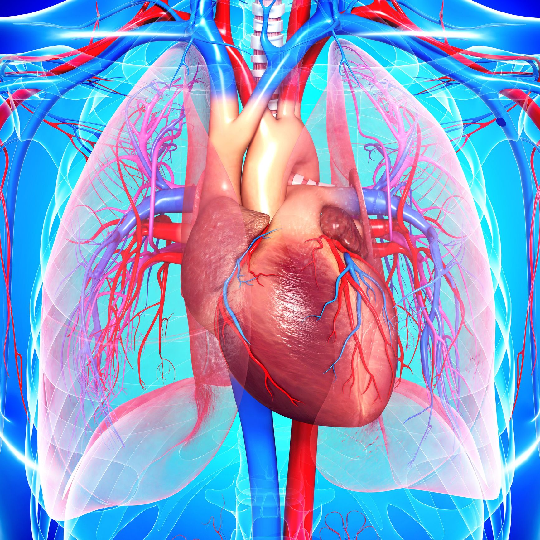 Heart Health Matters: Navigating Heart Conditions