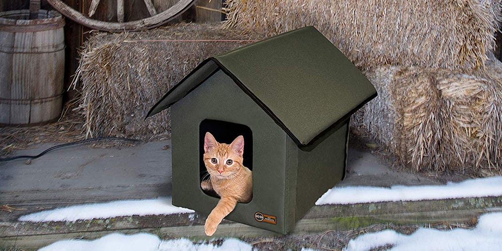 Keep Outdoor Kitties Warm Through Freezing Temperatures