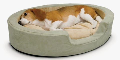 This Heated Bed Will Keep Your Dog Warm—Because Your Pup Gets Cold, Too