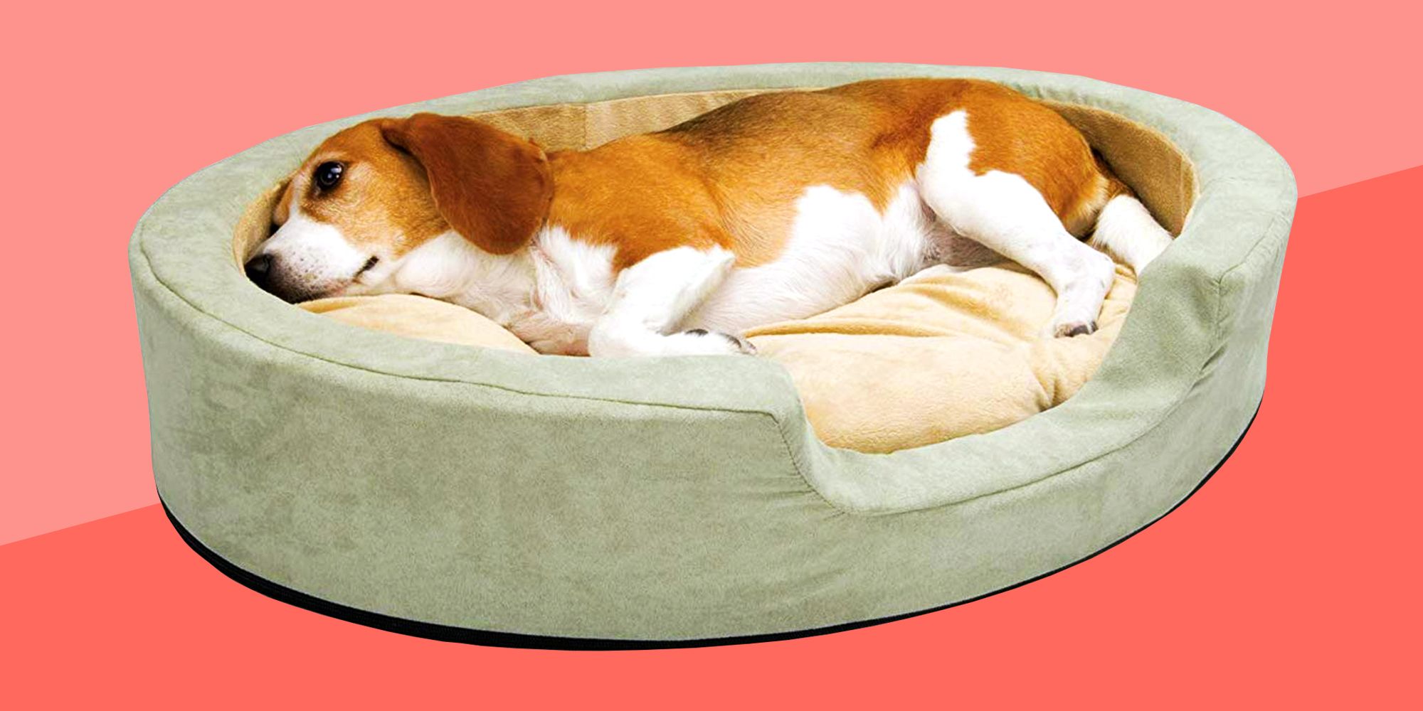 cold dog bed