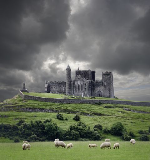 Heavy clouds over Rock of Cashel, sheep grazing on foreground, Cahir, County Tipperary, Ireland