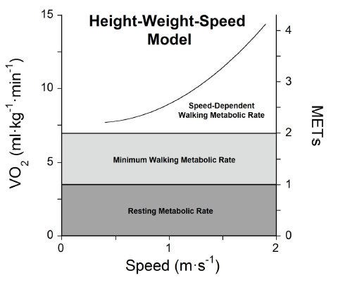 How Height Affects Calorie Burning